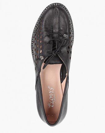 Миниатюра фотографии Лоферы clovis