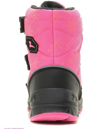 Миниатюра фотографии Дутики, зебра