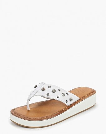 Миниатюра фотографии Сабо inuovo