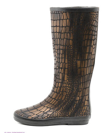 Миниатюра фотографии Резиновые сапоги, mon ami