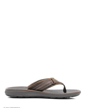 Миниатюра фотографии Сланцы, clarks