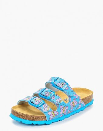 Миниатюра фотографии Сланцы lurchi