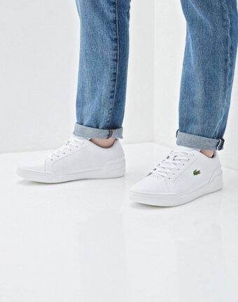 Миниатюра фотографии Кеды lacoste