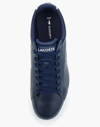 Миниатюра фотографии Кеды lacoste