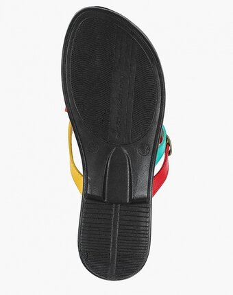 Миниатюра фотографии Сланцы t.taccardi