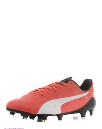 Миниатюра фотографии Бутсы evospeed sl fg, puma