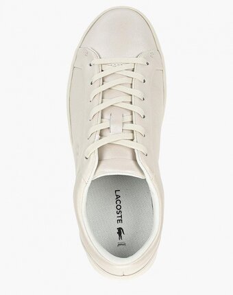 Миниатюра фотографии Кеды lacoste