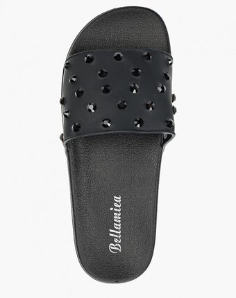 Миниатюра фотографии Сланцы bellamica