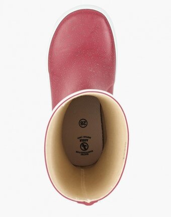 Миниатюра фотографии Резиновые сапоги aigle