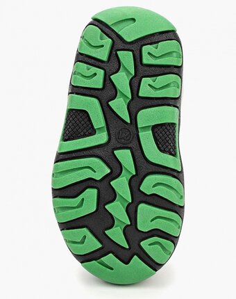 Миниатюра фотографии Дутики zebra