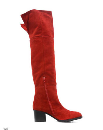 Миниатюра фотографии Ботфорты, la gatta