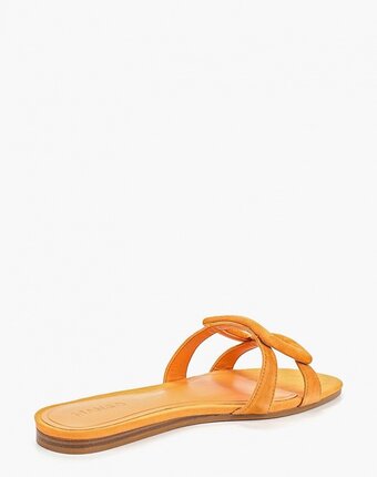 Миниатюра фотографии Сабо mango