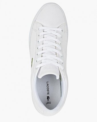 Миниатюра фотографии Кеды lacoste