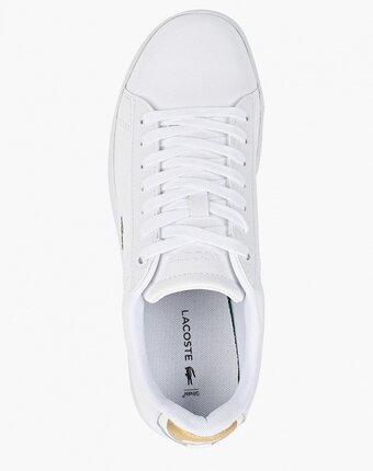 Миниатюра фотографии Кеды lacoste