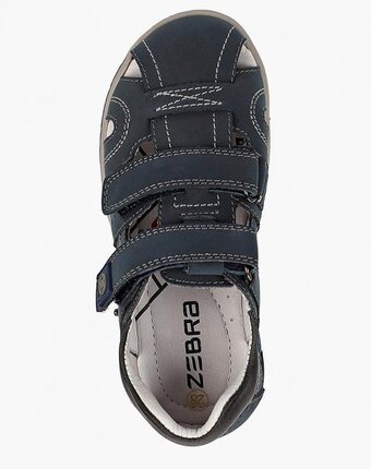 Превью изображения Сандалии zebra Миниатюра фотографии Сандалии zebra