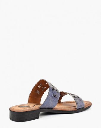 Миниатюра фотографии Сабо kynuria