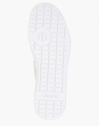 Миниатюра фотографии Кеды lacoste