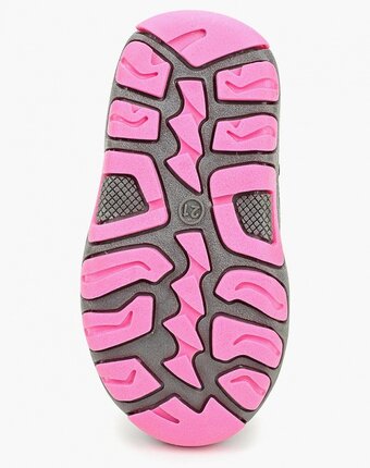 Миниатюра фотографии Дутики zebra