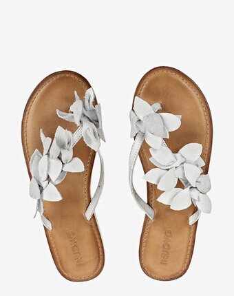 Миниатюра фотографии Сабо inuovo