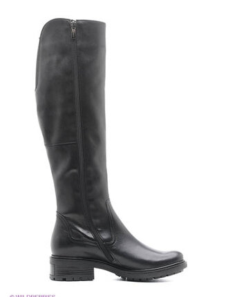 Миниатюра фотографии Ботфорты, belwest