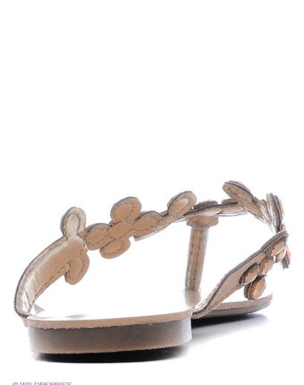 Миниатюра фотографии Сланцы, inario