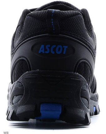 Миниатюра фотографии Кроссовки, ascot