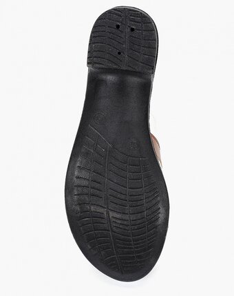 Миниатюра фотографии Сабо kynuria