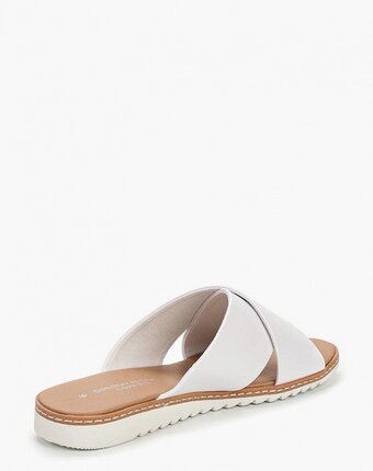 Миниатюра фотографии Сабо dorothy perkins