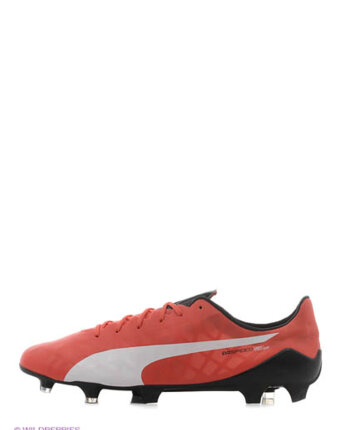 Миниатюра фотографии Бутсы evospeed sl fg, puma