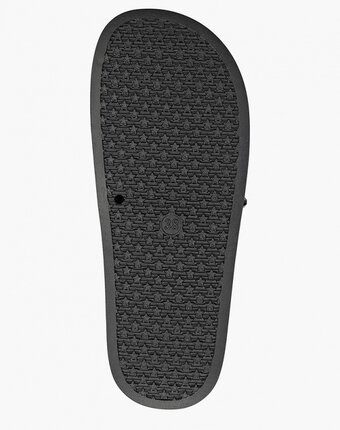 Миниатюра фотографии Сланцы bellamica