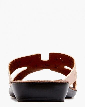 Миниатюра фотографии Сабо kynuria