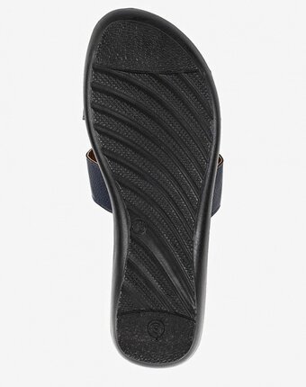 Миниатюра фотографии Сланцы t.taccardi