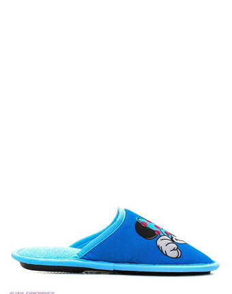 Миниатюра фотографии Тапочки, bris