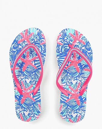 Миниатюра фотографии Сланцы t.taccardi