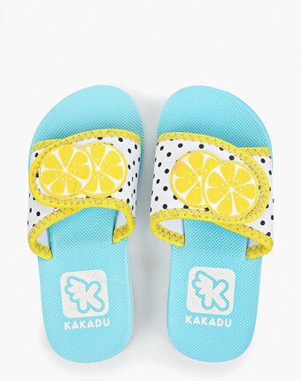 Миниатюра фотографии Сланцы kakadu