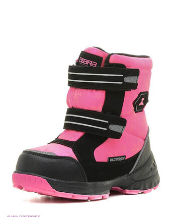 Миниатюра фотографии Дутики, зебра