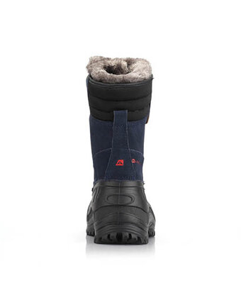 Миниатюра фотографии Сапоги, alpine pro