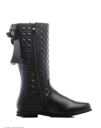 Миниатюра фотографии Сапоги, kakadu