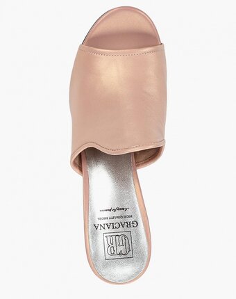 Миниатюра фотографии Сабо graciana