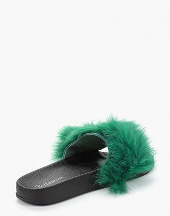 Миниатюра фотографии Сабо bellamica