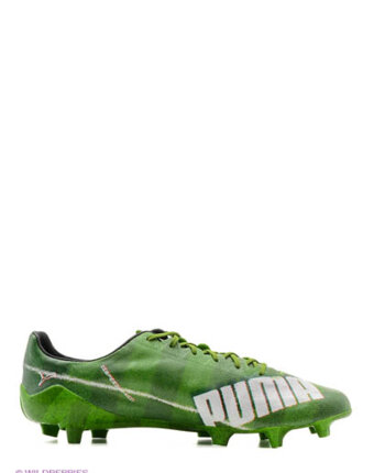 Миниатюра фотографии Бутсы evospeed sl grass fg, puma