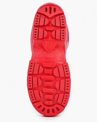 Миниатюра фотографии Резиновые сапоги каури