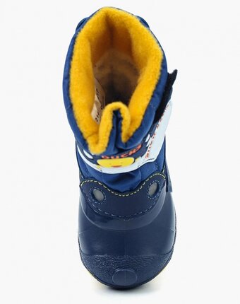 Миниатюра фотографии Дутики зебра