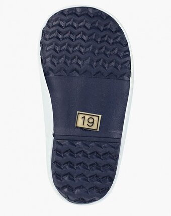 Миниатюра фотографии Резиновые сапоги aigle