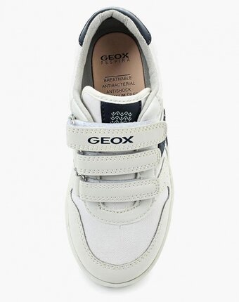 Миниатюра фотографии Кеды geox