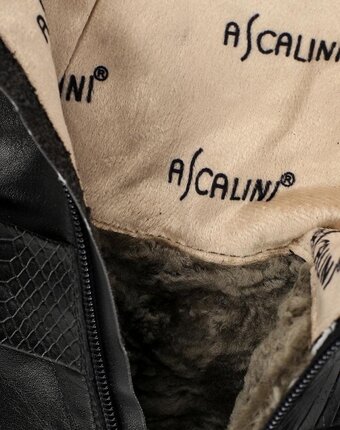 Миниатюра фотографии Сапоги ascalini