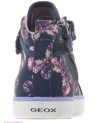 Миниатюра фотографии Кеды, geox