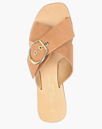 Миниатюра фотографии Сабо dorothy perkins