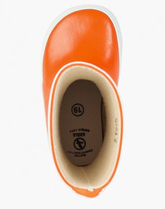 Миниатюра фотографии Резиновые сапоги aigle