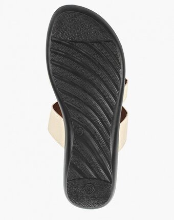 Миниатюра фотографии Сланцы t.taccardi